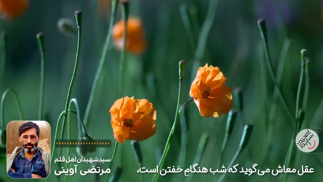 ویدئوی دل‌نوشته